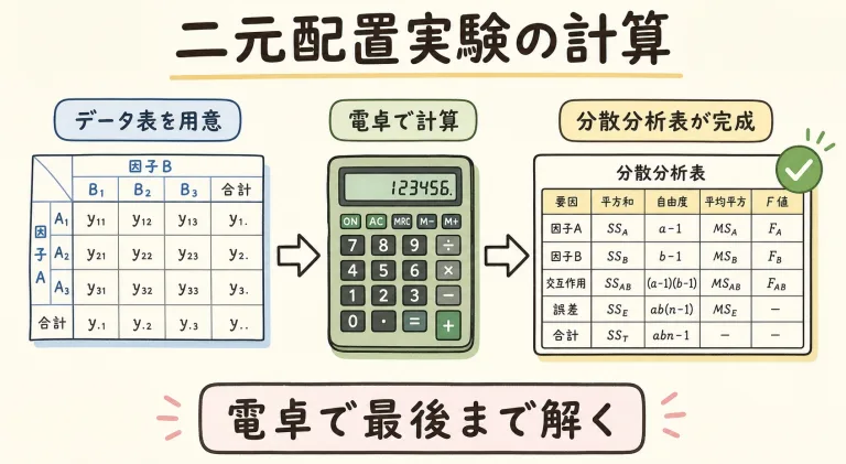 二元配置実験の計算方法｜電卓で最後まで解く分散分析の全手順