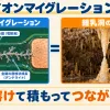 イオンマイグレーションとは何か。水分と電位差で金属が伸びて短絡する故障