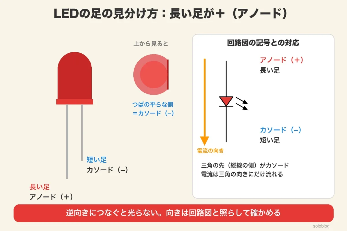 LEDの横から見た図で長い足がアノード（＋）、短い足がカソード（−）。上から見るとつばの平らな側がカソード。回路記号では三角の先の縦線側がカソードで、電流は三角の向きに流れる