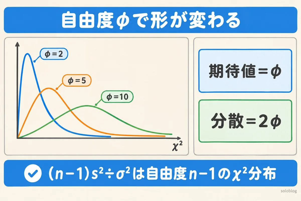 カイ二乗分布の自由度と形の図。自由度2では0の近くに山があり、自由度5、10と大きくなるほど山が右に移る。期待値は自由度φ、分散は2φ